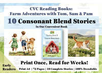 10 CVCC/CCVC Short Vowel Phonic Decodable Stories | Science of Reading preview