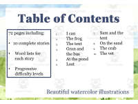 10 CVCC/CCVC Short Vowel Phonic Decodable Stories | Science of Reading preview 2