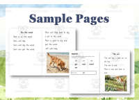 10 CVCC/CCVC Short Vowel Phonic Decodable Stories | Science of Reading preview 5