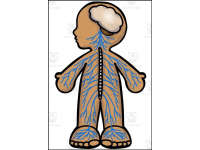 Product image #2
