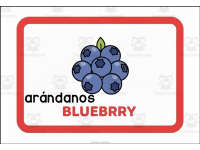 Product image #4