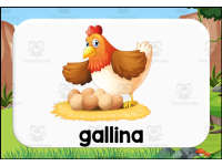 Product image #1