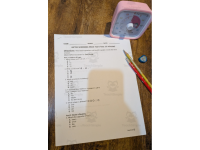 2nd Grade Basic Skills Assessment | 20-Question Test Logic & Reasoning preview 2