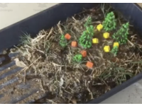 2nd Grade Science Video Lab 2.ESS1.1, 2.ESS2.1 Earths Events, Erosion preview 3