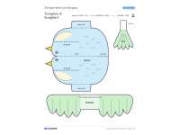 3D Paper Bird Craft Template – Cut, Color, Display preview 2