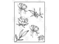 Product image #1