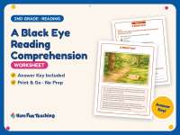 A Black Eye Reading Comprehension Worksheet – 2nd Grade Practice preview