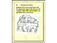Product image #5
