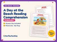 A Day at the Beach Reading Comprehension Worksheet – 3rd Grade preview