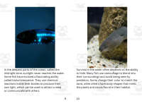 Product image #5