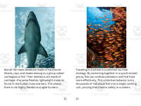 Product image #6