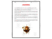 Product image #1