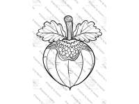 Product image #1