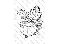 Product image #2