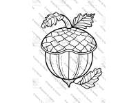 Product image #4