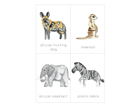 Product image #2
