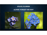 Product image #1