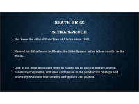 Product image #4