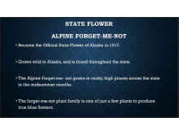 Product image #2