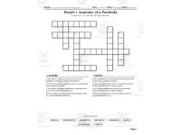 Algebra 1 Quadratic Equations and Functions Crosswords with Word Bank preview 2