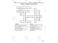 Algebra 1 Quadratic Equations and Functions Crosswords with Word Bank preview 3