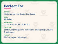 Alphabet Stories Letter B Reading Comprehension Worksheet – 1st Grade preview 6