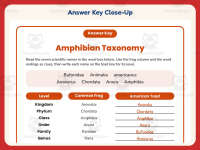 Amphibian Taxonomy Worksheet – 5th Grade Animals & Classification preview 7
