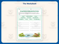 Amphibians ABC Order Worksheet – 2nd Grade Alphabetical Order Practice preview 2
