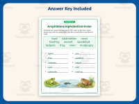 Amphibians ABC Order Worksheet – 2nd Grade Alphabetical Order Practice preview 3