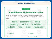 Amphibians ABC Order Worksheet – 2nd Grade Alphabetical Order Practice preview 7