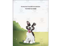 Product image #2