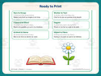 Analogies Worksheet: Analogy Type List – 4th Grade Grammar Practice preview 7