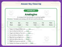 Analogy Fill in the Blanks Worksheet – 3rd Grade Analogies Practice preview 7