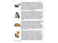 Product image #2