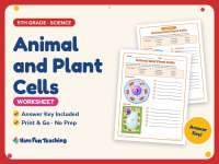 Animal and Plant Cells Worksheet – 5th Grade Anatomy & Animals preview