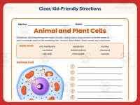 Animal and Plant Cells Worksheet – 5th Grade Anatomy & Animals preview 4
