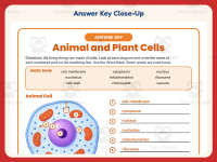 Animal and Plant Cells Worksheet – 5th Grade Anatomy & Animals preview 7