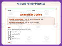 Animal Life Cycles Worksheet – 3rd Grade Animals Practice + Answer Key preview 4