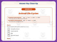 Animal Life Cycles Worksheet – 3rd Grade Animals Practice + Answer Key preview 7