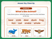 Animal Names Worksheet – 1st Grade Animals Practice + Answer Key preview 7
