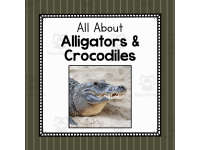 Product image #0