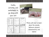 Product image #2