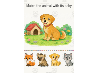 Product image #2