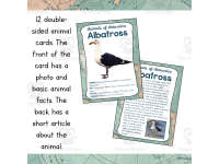 Product image #1