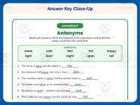 Antonym Worksheet – 2nd Grade Antonyms Practice + Answer Key preview 7