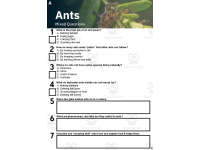 Product image #4