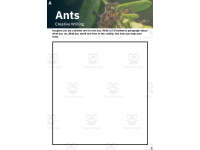 Product image #5
