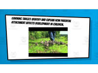 Product image #3