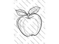 Product image #3