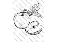 Product image #1
